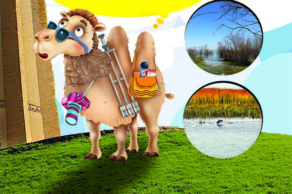 ابل‌خان در گنبدکاووس